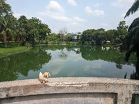 PXL_20240516_031415986.jpg