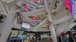 PXL_20240518_050842702.jpg