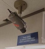 IMG_9056.jpeg