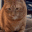 1000007746.gif