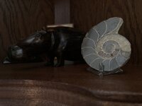 IMG_5207.jpeg