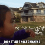 LOOKATTHEM.gif