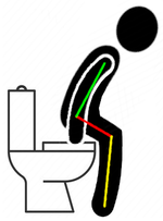 toilet.png