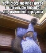 IMG_1514.jpeg