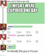9qxz24.jpg