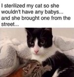 IMG_1851.jpeg