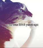 FB_IMG_1745767140774.jpg