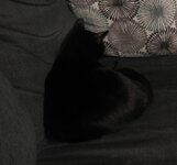 IMG_20250428_1151274~2.jpg