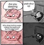 1000281431.jpg