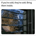 1746065044436.png