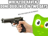 IMG_2009.jpeg