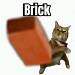 IMG_2065.jpeg