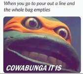1000283312.jpg