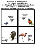 IMG_2128.jpeg