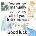 FB_IMG_1747094452472.jpg