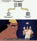 1747632992228.jpeg