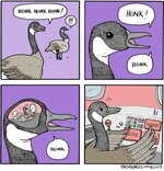 IMG_2234.jpeg