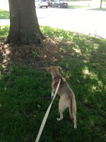 IMG_1158.jpeg