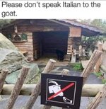 IMG_2243.jpeg