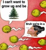 FB_IMG_1747870458693.jpg
