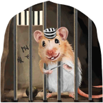 1000008172.png