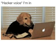 1697408365343.jpeg