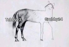 Unfinished Horse Drawing 7483.jpg