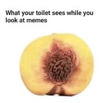 499523270_122195075210277166_1961873501362567180_n.jpg