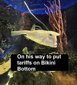 FB_IMG_1748354587836.jpg