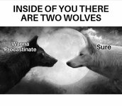 1000286863.jpg