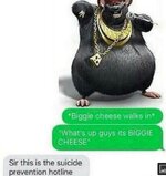 619ac72262baa.jpeg