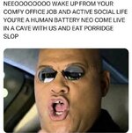 hshsj2306s3f1.jpeg