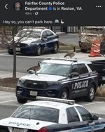 1000287191.jpg