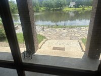IMG_2393.jpeg