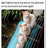 IMG_2439.jpeg