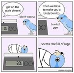 IMG_2448.jpeg