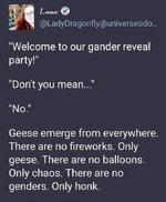 1749755127470.jpeg