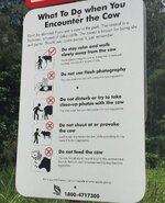 _91894027_img_5299.jpg