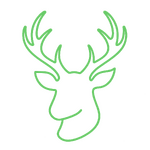 druid.png
