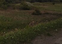 IMG_20250614_1953372~2.jpg