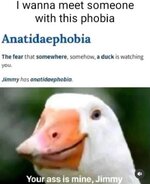 IMG_2523.jpeg