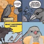 1000290864.jpg