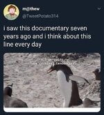 1000291099.jpg