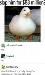 IMG_2757.jpeg
