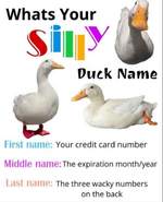 1750961328699.png