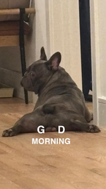 IMG_2323.png