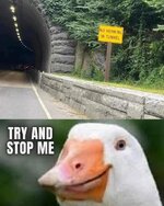 FB_IMG_1750994607046.jpg