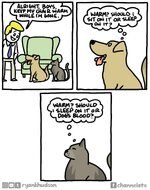 IMG_2820.jpeg
