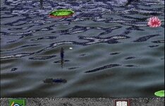 IMG_1616.jpeg