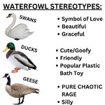 1000315589.jpg